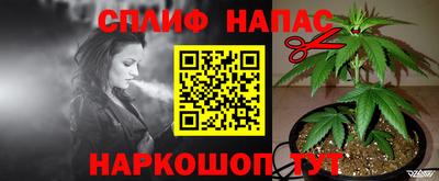 бошки Будённовск