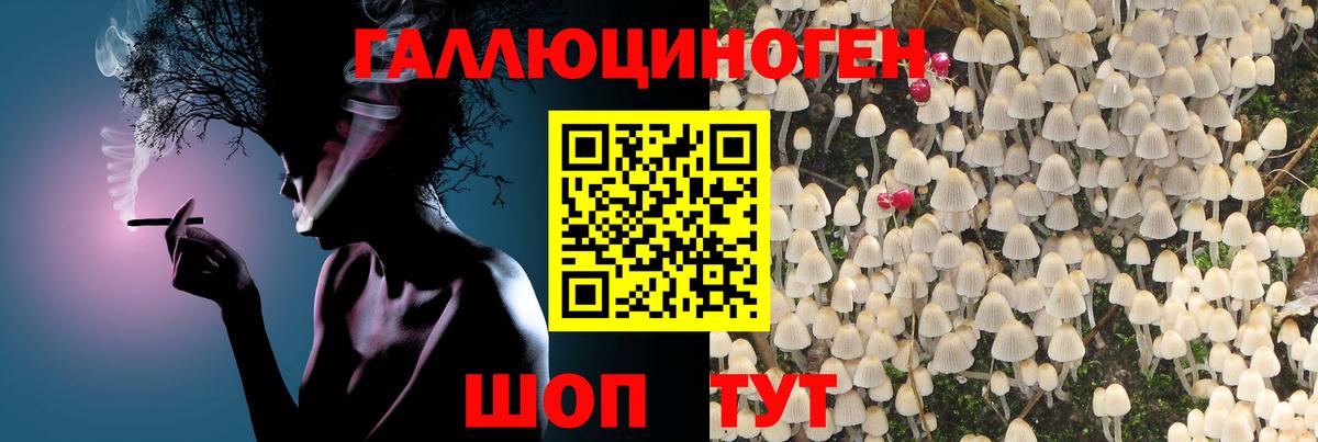Псилоцибиновые грибы Psilocybine cubensis Сердобск